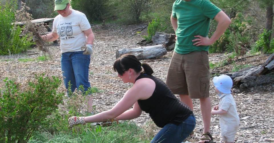 Dig Your Own Native Shrub Sale