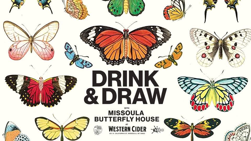 Drink & Draw INSECTS