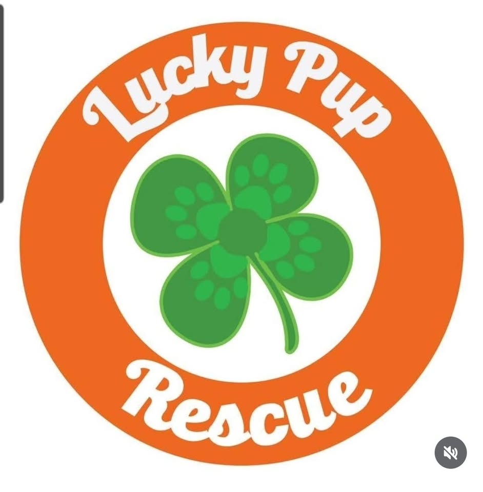 Yappy Hour with Lucky Pup Rescue