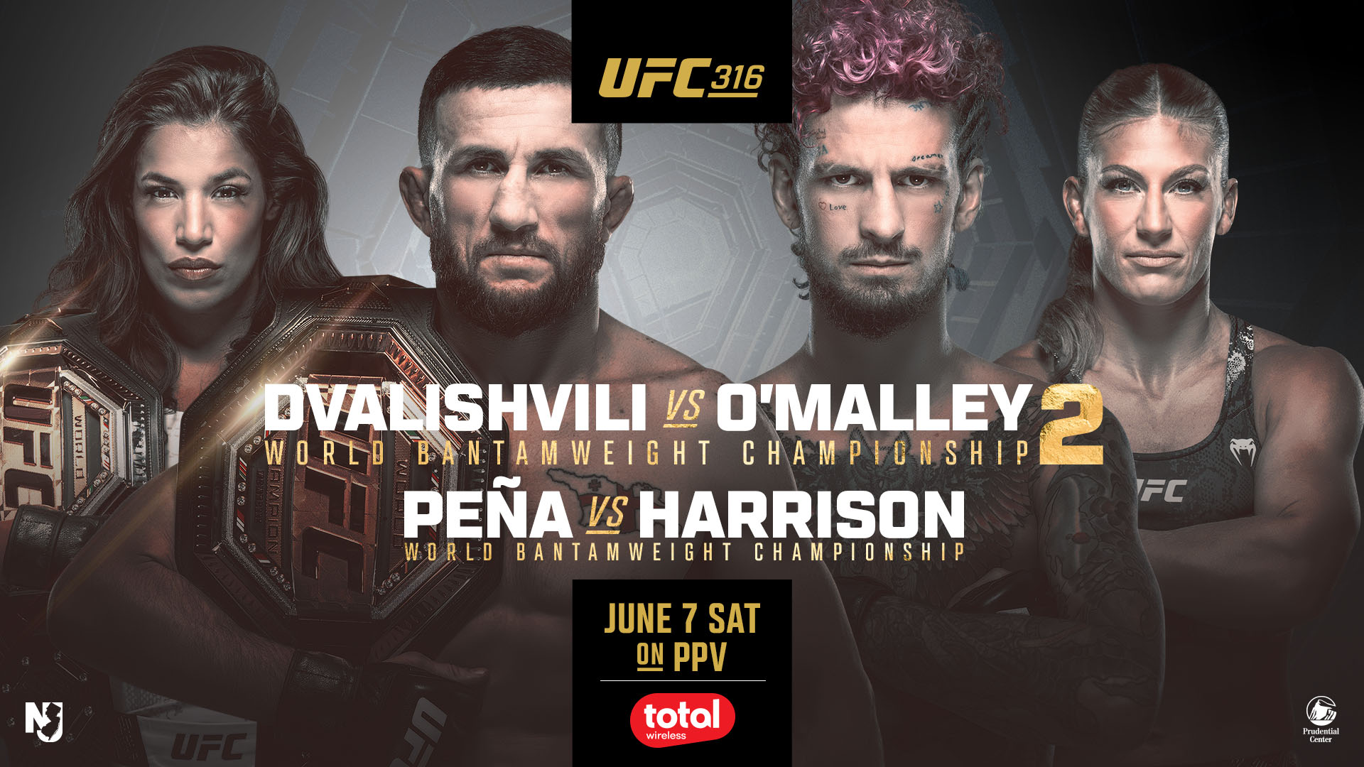 UFC 316 on the Big Screen