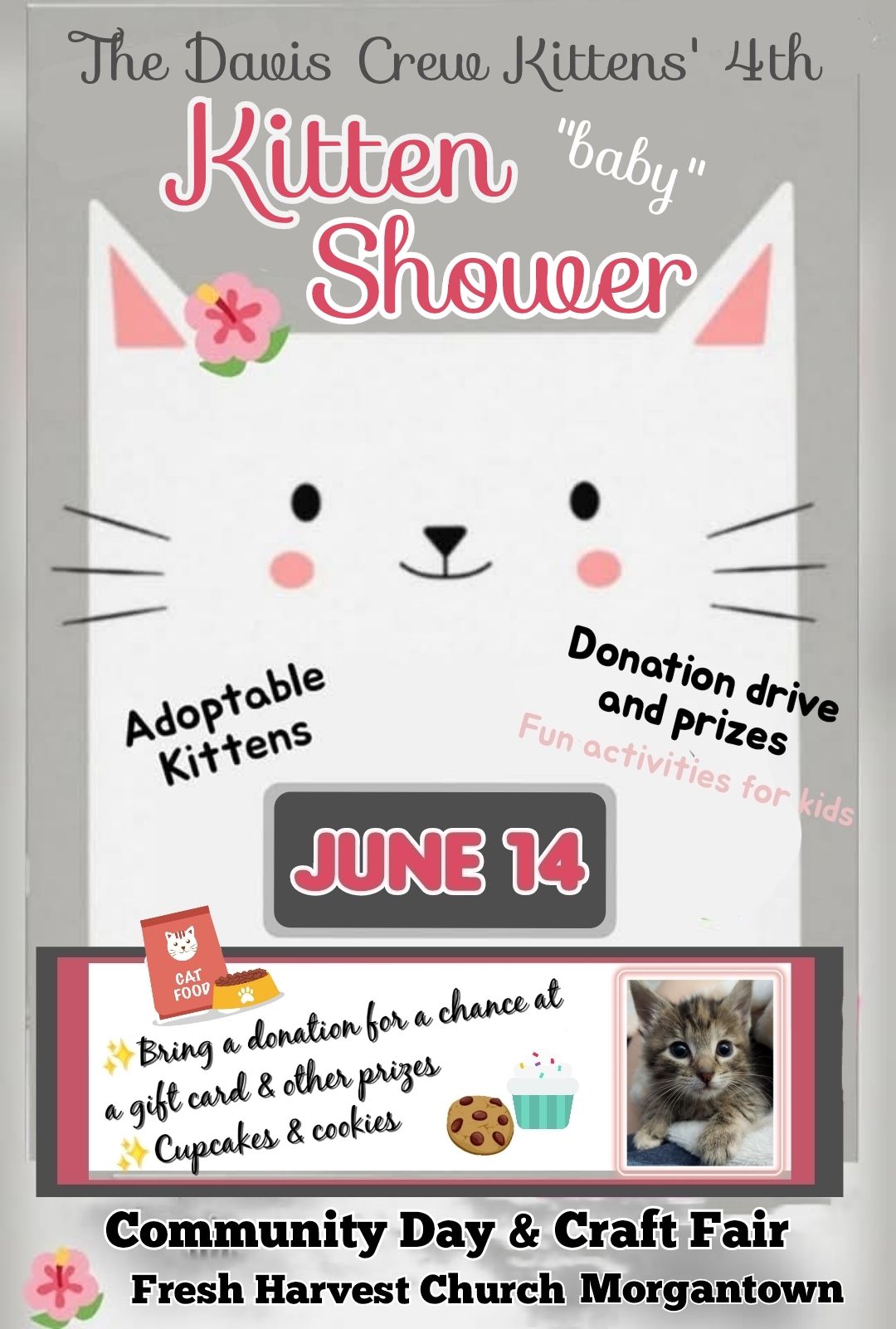 Kitten baby Shower and Adoption Event Sat June 14
